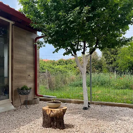 Apartamento Gaestehaus Dimitra